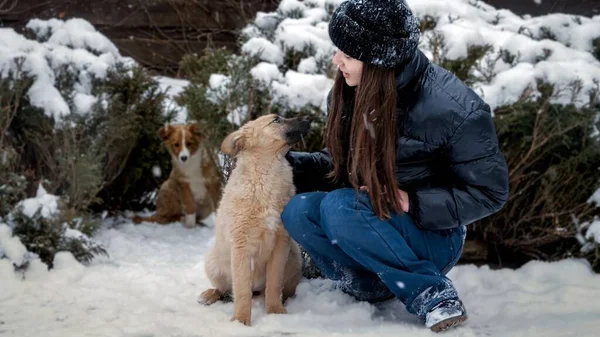 Glücklich Lächelndes Teenager Mädchen Das Einem Kalten Wintertag Mit Welpen — Stockfoto