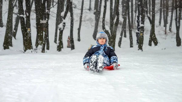 Chłopiec Radośnie Ślizgający Się Pokrytym Śniegiem Wzgórzu Swoich Plastikowych Saniach — Zdjęcie stockowe