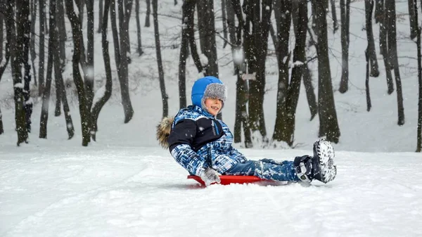 Wesoły Młody Chłopiec Zjeżdża Śnieżnym Stoku Czerwonych Plastikowych Sankach Jego — Zdjęcie stockowe