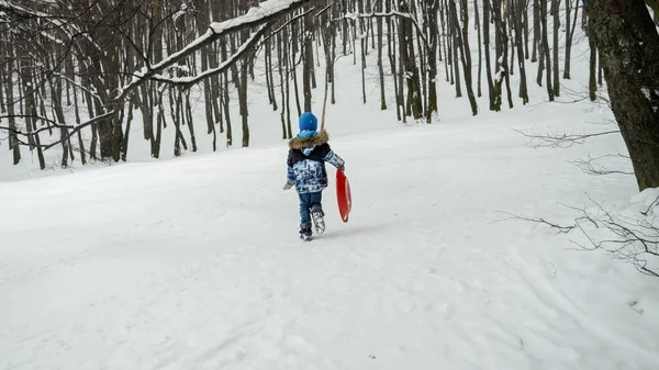 幸せな少年は彼のプラスチック製のそりを丘の上に運び 雪と冬の間にもたらすすべての屋外活動に興奮しています — ストック写真