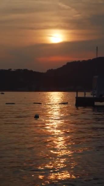 海の上の日没の垂直ビデオ ソーシャルメディアの夏休みと休暇の背景 — ストック動画
