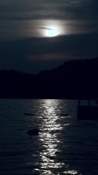 Вертикальне Відео Місячного Шляху Над Морськими Хвилями Місяць Сяє Відображається — стокове відео