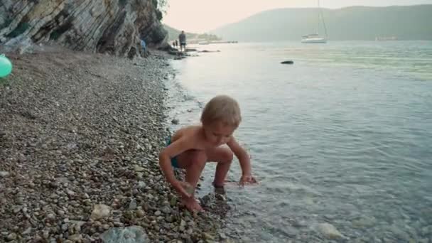 かわいい幼い少年は岩のビーチで小石を集め 海水でそれらを投げる — ストック動画