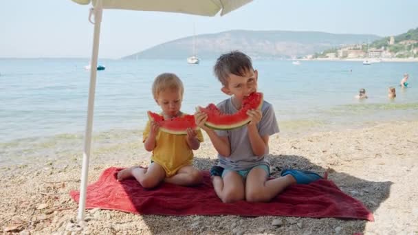 2人の愛らしい男の子は海岸で甘いスイカを楽しんでいます 夏休み そして休暇のシンプルな楽しみの本質 — ストック動画