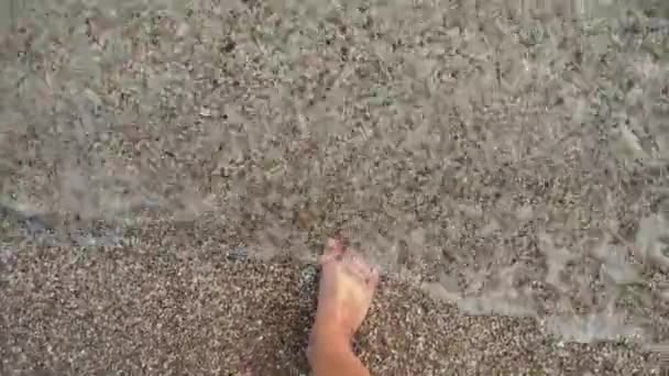 Pov Video Męskich Stóp Spacerujących Piaszczystej Plaży Oceanu Kamyczków Przez — Wideo stockowe
