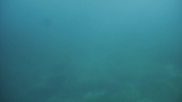 Abstraktní Záběr Plavání Přes Korálové Útesy Mořské Dno Osvětlené Slunečními — Stock video