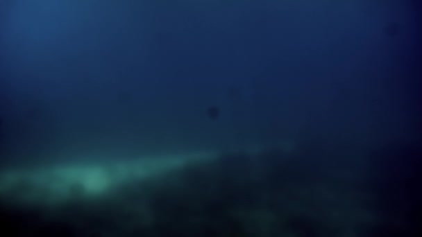 Абстрактные Размытые Подводные Снимки Морского Дна Солнечных Лучей Сияющих Через — стоковое видео