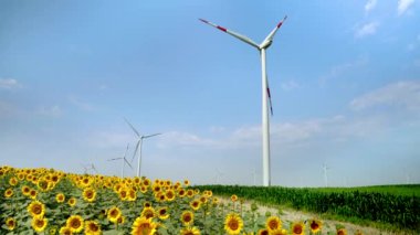 Yel değirmenleri güneş ışığında ayçiçekleri ve mısır arasında elektrik üretiyor. Alternatif enerji ve yenilenebilir enerji vizyonu.