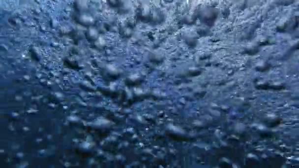 Постепенное Восхождение Пузырьков Воздуха Замедленной Съемке Перемещение Морского Дна Поверхности — стоковое видео