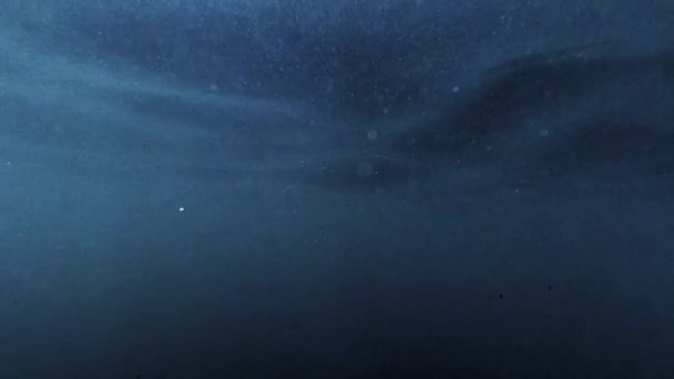 Подводная Сцена Морского Дна Солнечным Светом Проникающим Поверхность Воды Смотреть — стоковое видео