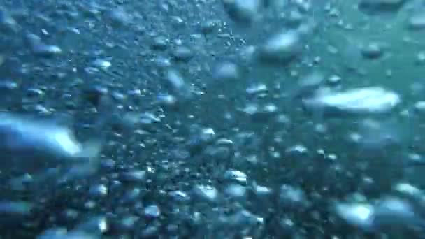 Повільні Кадри Демонструють Повітряні Бульбашки Витончено Піднімаються Від Океанської Підлоги — стокове відео