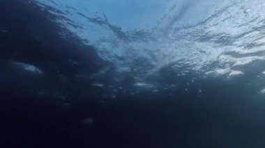 Güneş ışığı suyun yüzeyini delip geçerken okyanus tabanının altından görüntü. Yükselen hava kabarcıklarının ışıltısını ve ışıltısını izleyin..