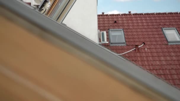 Happy Smiling Laughing Woman Looking Out Open Attic Window Waves — Stock Video
