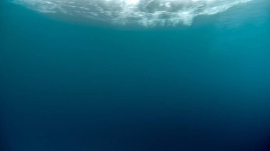 Su altı arka planında su yüzeyinde parlayan güneş ve geçen deniz dalgaları..