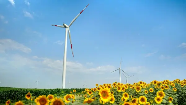 風が強く 晴れた日には 日光とトウモロコシ畑で電気を発生する風車を回転させます 代替エネルギーと再生可能エネルギーを生成する ストック画像