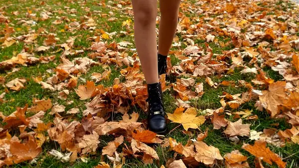 Sexy Woman Pantyhose High Heels Walking Yellow Autumn Leaves Park — Stock Photo, Image