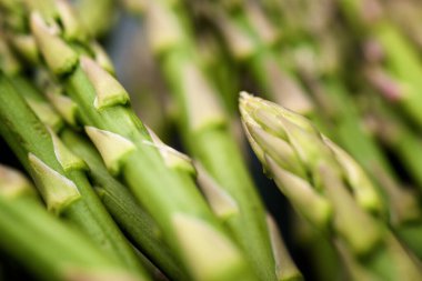 Yeşil kuşkonmaz grubuna yakın çekim.