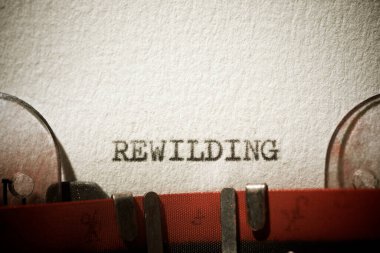 Bir daktilo ile yazılmış iğrenç sözcük.