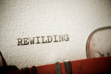 Bir daktilo ile yazılmış iğrenç sözcük.