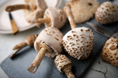 kesme tahtası mantar