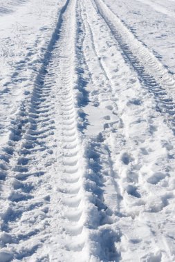 Pireneler, Tena Vadisi, Aragon, Huesca Eyaleti, İspanya 'da araç rayları.