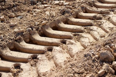 İspanya 'da Aragon' un Zaragoza ilindeki bir ekin tarlasında traktör ayak izi.