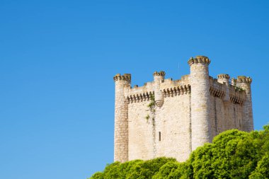İspanya 'nın Guadalajara ilindeki Castilla La Mancha' daki Torija kalesi..
