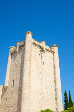 İspanya 'nın Guadalajara ilindeki Castilla La Mancha' daki Torija kalesi..