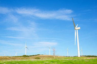 Sürdürülebilir elektrik üretimi için rüzgar türbini jeneratörleri