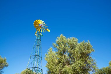 Zaragoza Eyaleti 'ndeki bir zeytinlikte geleneksel yel değirmeni, Aragon, İspanya.