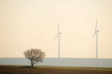 Güneş doğarken sürdürülebilir elektrik üretimi için rüzgar türbini jeneratörleri