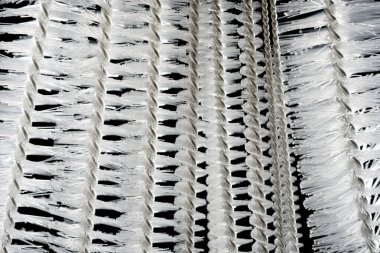 Test tüpleri, pipetler ve benzeri nesneler için fırçaları kapat