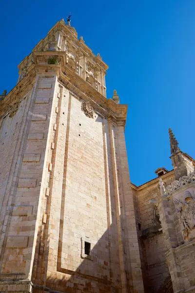 El Burgo de Osma 'da açık gökyüzü olan katedralde Soria ili, İspanya' da Castilla Leon.