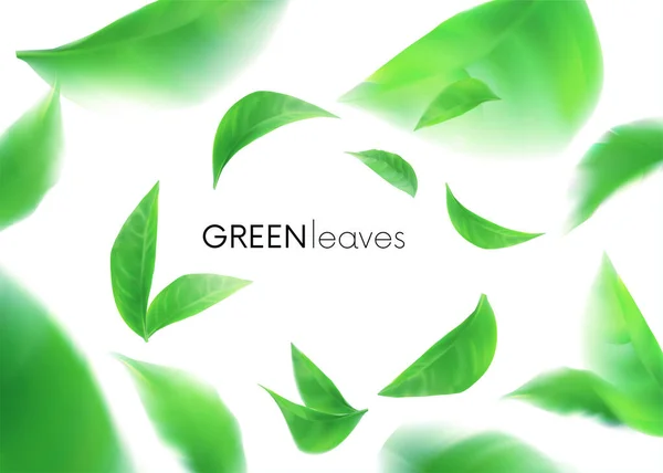 Green Leaves Leaves Whirl Air Spring Element Design Advertising Packaging — Stock Vector