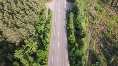 The highway passes through the Ukrainian forest. High quality FullHD footage