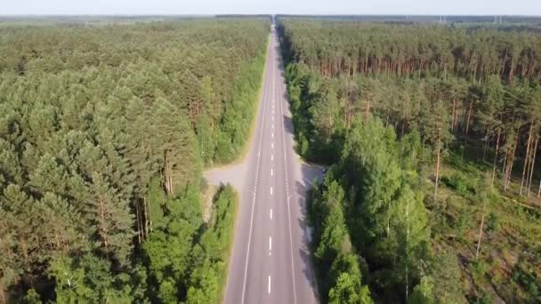 Symmetrical Scene Highway Traffic Green Forest High Quality Fullhd Footage — Vídeo de Stock