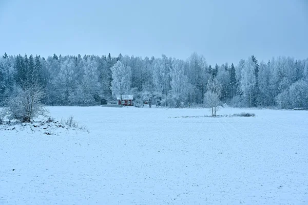 field covered in snow with little cabin near forest Kumla Sweden december 5 2022