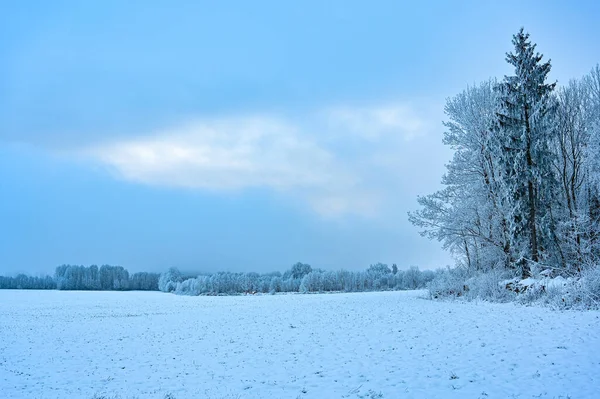 stock image field covered in snow a misty cold day in Kumla Sweden december 5 2022