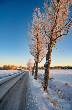 Karla kaplı tarlaların arasından geçen buzlu yol Orebro İsveç 16 Aralık 2022