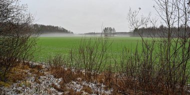 Looking out over green fields near Kumla Sweden january 2 2023