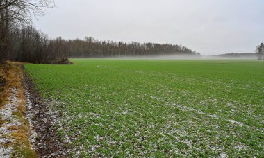 Looking out over green fields near Kumla Sweden january 2 2023