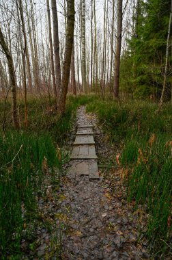 spans over wet area to walk on Kumla Sweden january 2 2023