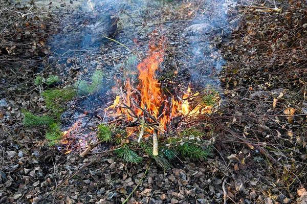 burning branches and leaves from last year Motala Sweden february 4 2023