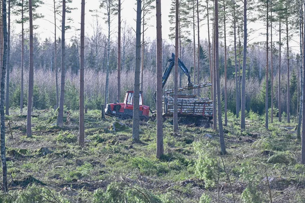 Transportista Máquinas Forestales Rojas Que Trabaja Zona Corte Kumla Suecia — Foto de Stock
