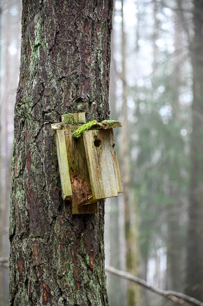 木の幹に吊るされた壊れた鳥の家クムラ スウェーデン2023年3月19日 — ストック写真