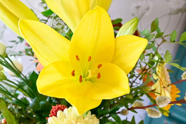 close up of colorful flower in birthday bouquet Sweden april 3 2023