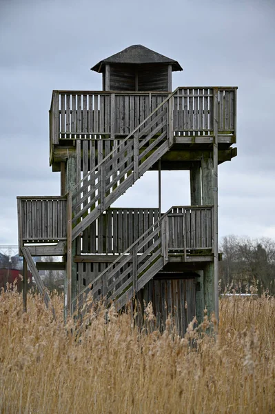 2023年4月6日 瑞典库姆拉湖附近的灰色鸟塔 芦苇丛生 — 图库照片