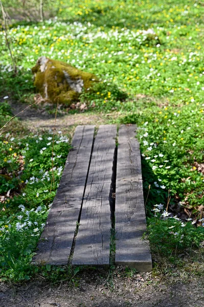 Entenbrett Und Brücke Aus Holz Soron Orebro Schweden Mai 2023 — Stockfoto