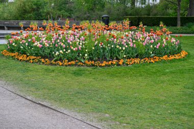Renkli laleler ve diğer çiçeklerle çiçeklenmiş Orebro İsveç 15 Mayıs 2023