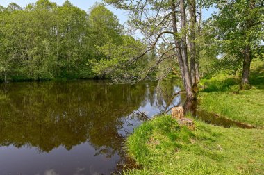 Fotoğraf: Blackriver Lekeberg Belediyesi İsveç 31 Mayıs 2023